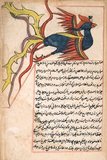 Abu Yahya Zakariya' ibn Muhammad al-Qazwini (أبو يحيئ زكريا بن محمد القزويني) (born 1203 - died 1283), was a Persian physician, astronomer, geographer and proto-science fiction writer.<br/><br/>

Born in the Persian town of Qazvin, he was descended from Anas ibn Malik, Zakariya' ibn Muhammad al-Qazwini served as legal expert and judge (qadhi) in several localities in Persia and at Baghdad. He travelled around in Mesopotamia and Syria, and finally entered the circle patronized by the governor of Baghdad, ‘Ata-Malik Juwayni (d. 1283 CE).<br/><br/>

It was to the latter that al-Qazwini dedicated his famous Arabic-language cosmography titled 'Aja'ib al-makhluqat wa-ghara'ib al-mawjudat عجائب المخلوقات و غرائب الموجودات ('Marvels of Creatures and Strange Things Existing'). This treatise, frequently illustrated, was immensely popular and is preserved today in many copies. It was translated into Persian and Turkish.<br/><br/>

Qazwini was also well-known for his geographical dictionary, Athar al-bilad wa-akhbar al-‘ibad اثار البلاد واخبار العباد ('Monument of Places and History of God's Bondsmen'). Both of these treatises reflect extensive reading and learning in a wide range of disciplines.<br/><br/>

Al-Qazwini also wrote a futuristic proto-science fiction Arabic tale entitled Awaj bin Anfaq, about a man who travelled to Earth from a distant planet.
